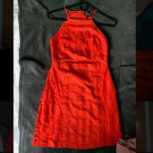 Size 4 top shop red high neck lace detail dress